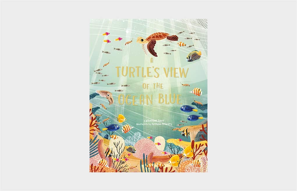 A Turtle\'s View of the Ocean Blue | Catherine Barr - 5 | YEO