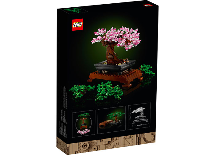 LEGO Creator - Botanical Collection: Bonsai Tree | LEGO