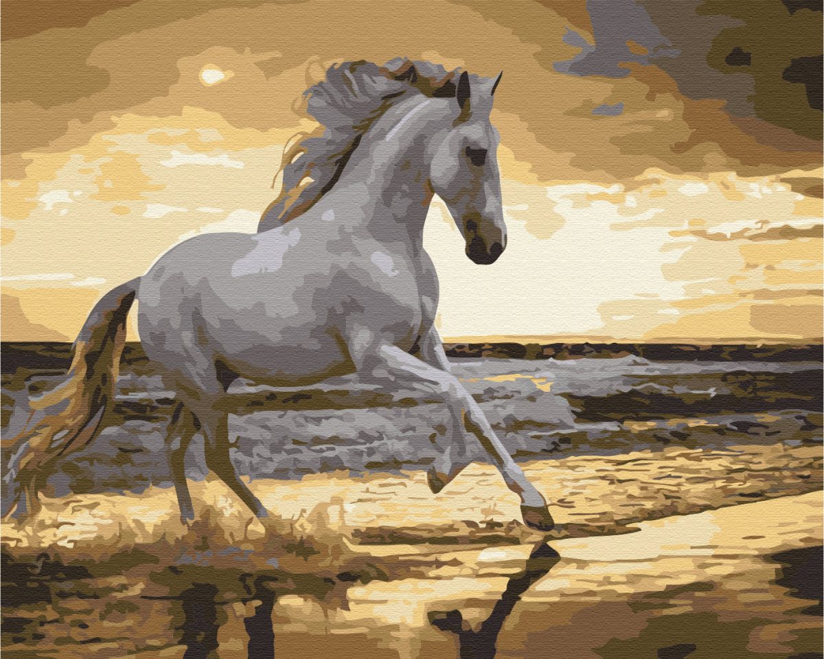 Set pictura pe numere - White Horse, 40x50 cm | Acuarello