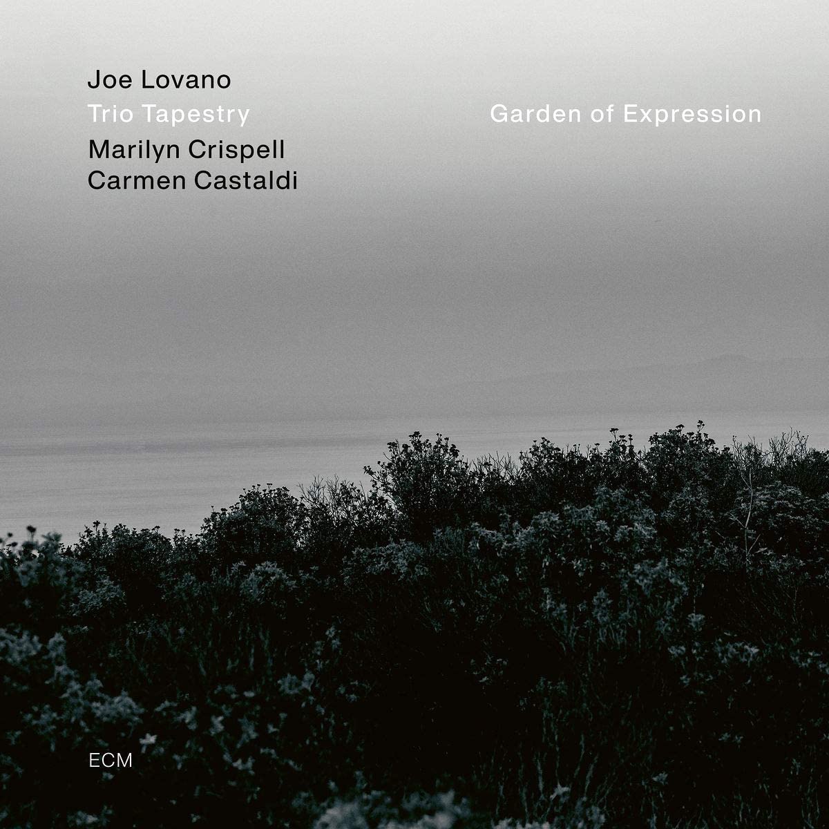 Garden of Expression | Joe Lovano, Trio Tapestry