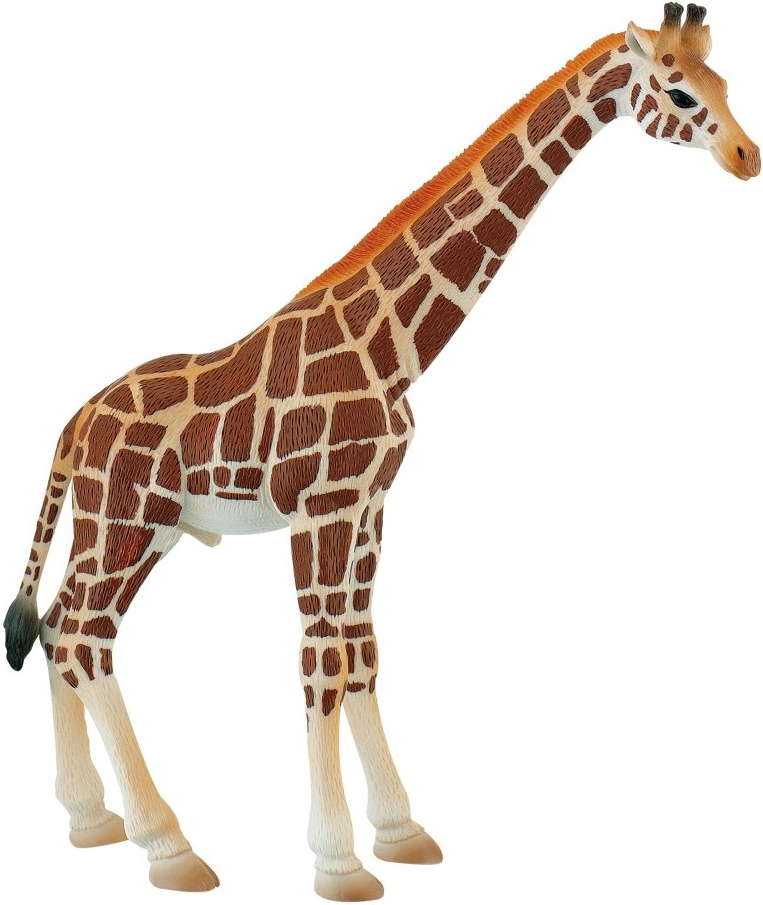 Figurina - Girafa mascul | Bullyland
