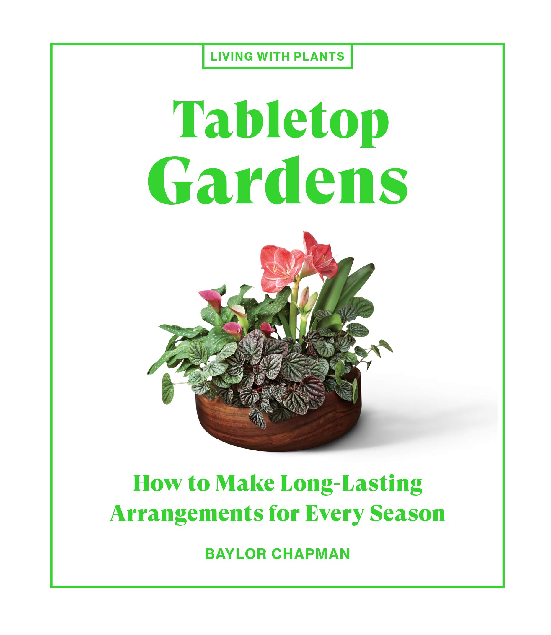 Tabletop Gardens | Baylor Chapman