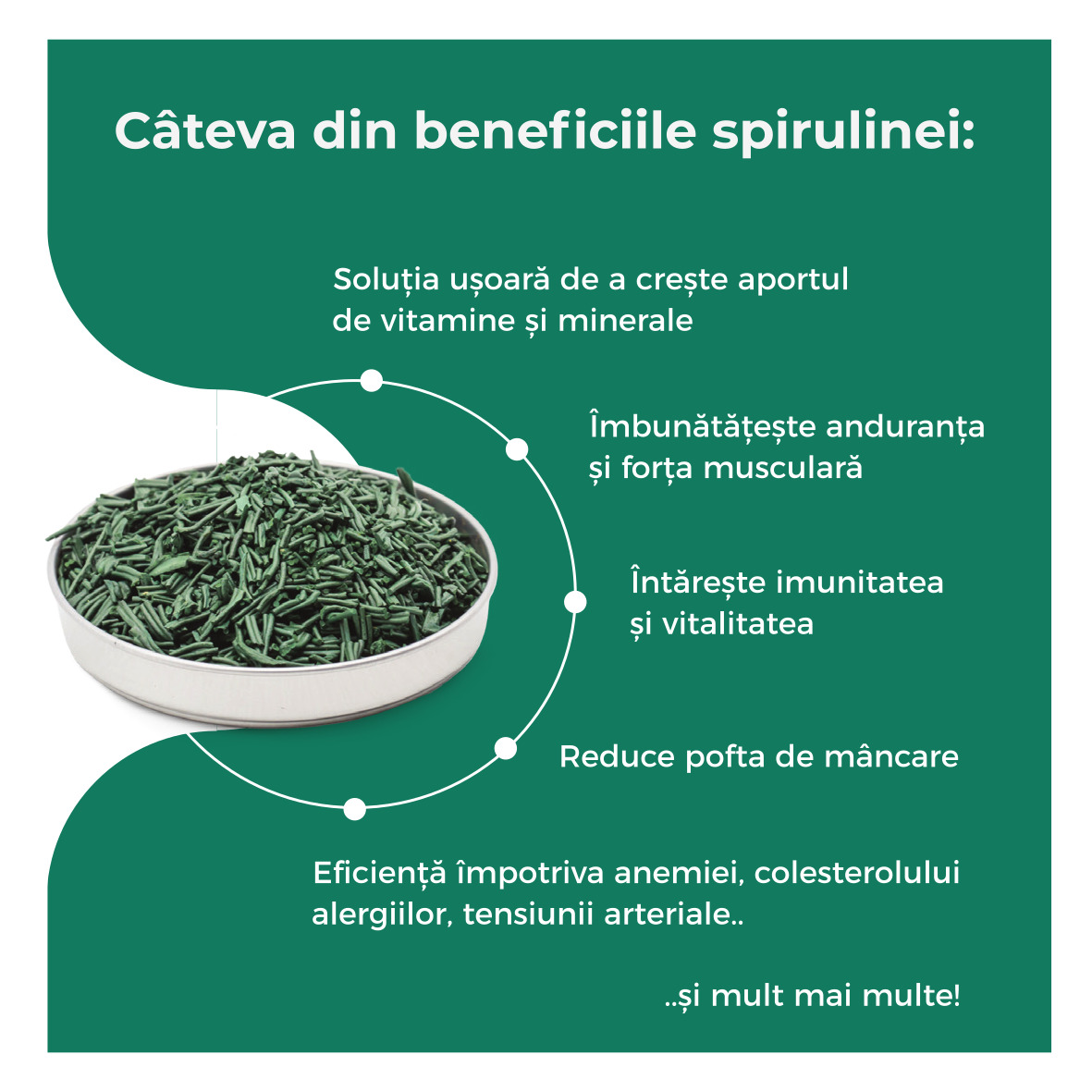 Spirulina Crunchies Burkina Faso, 50g | Spinoa - 2 | YEO