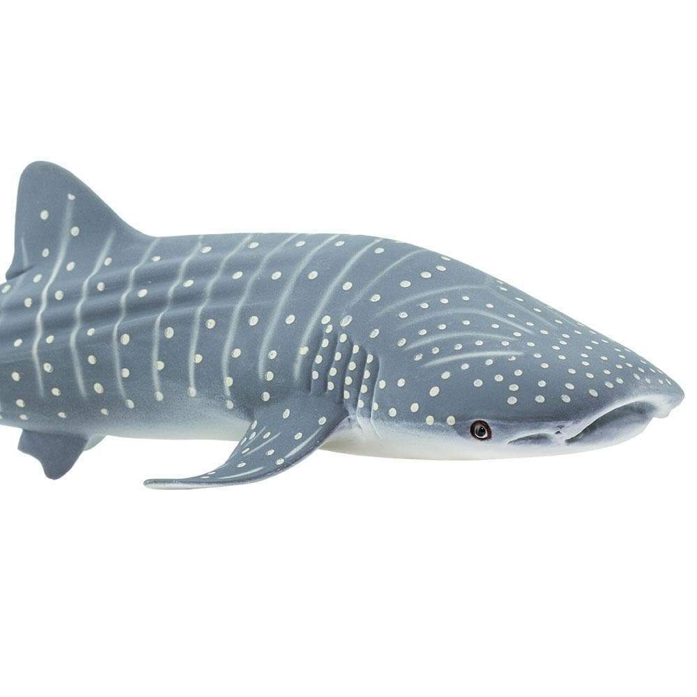 Figurina - Whale Shark | Safari - 2 | YEO