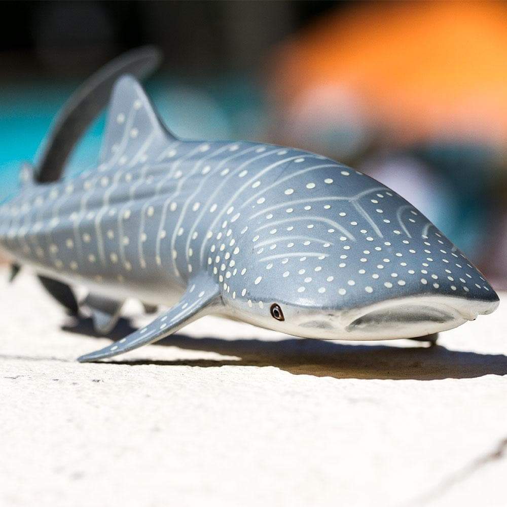 Figurina - Whale Shark | Safari - 4 | YEO