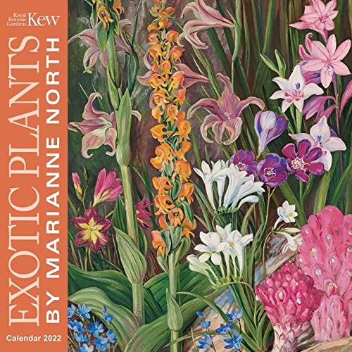 Calendar 2022 - Kew Gardens - Exotic Plants by Marianne North | Flame Tree Studio