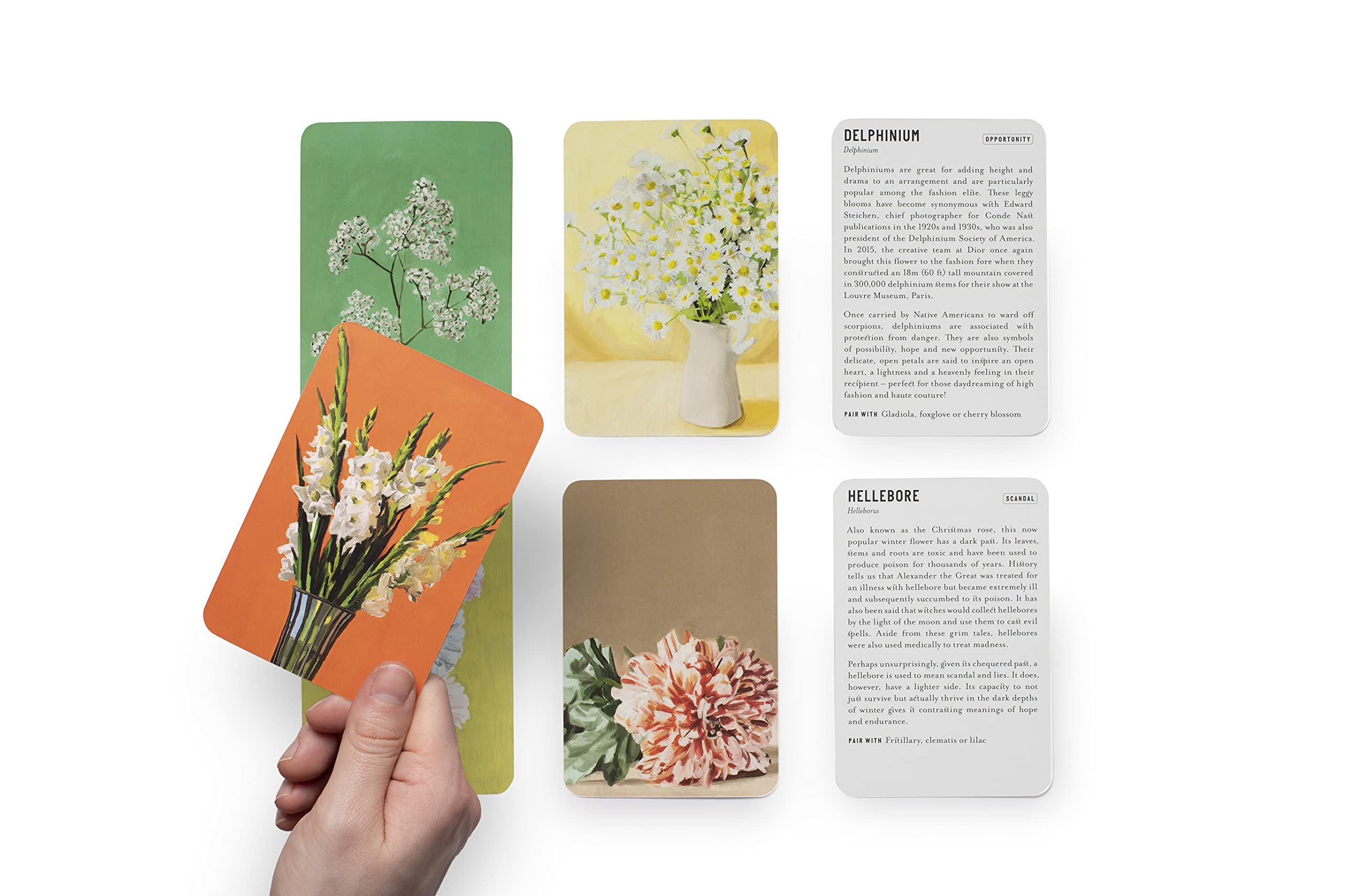 Floriography (cards) | Rowan Blossom - 5 | YEO