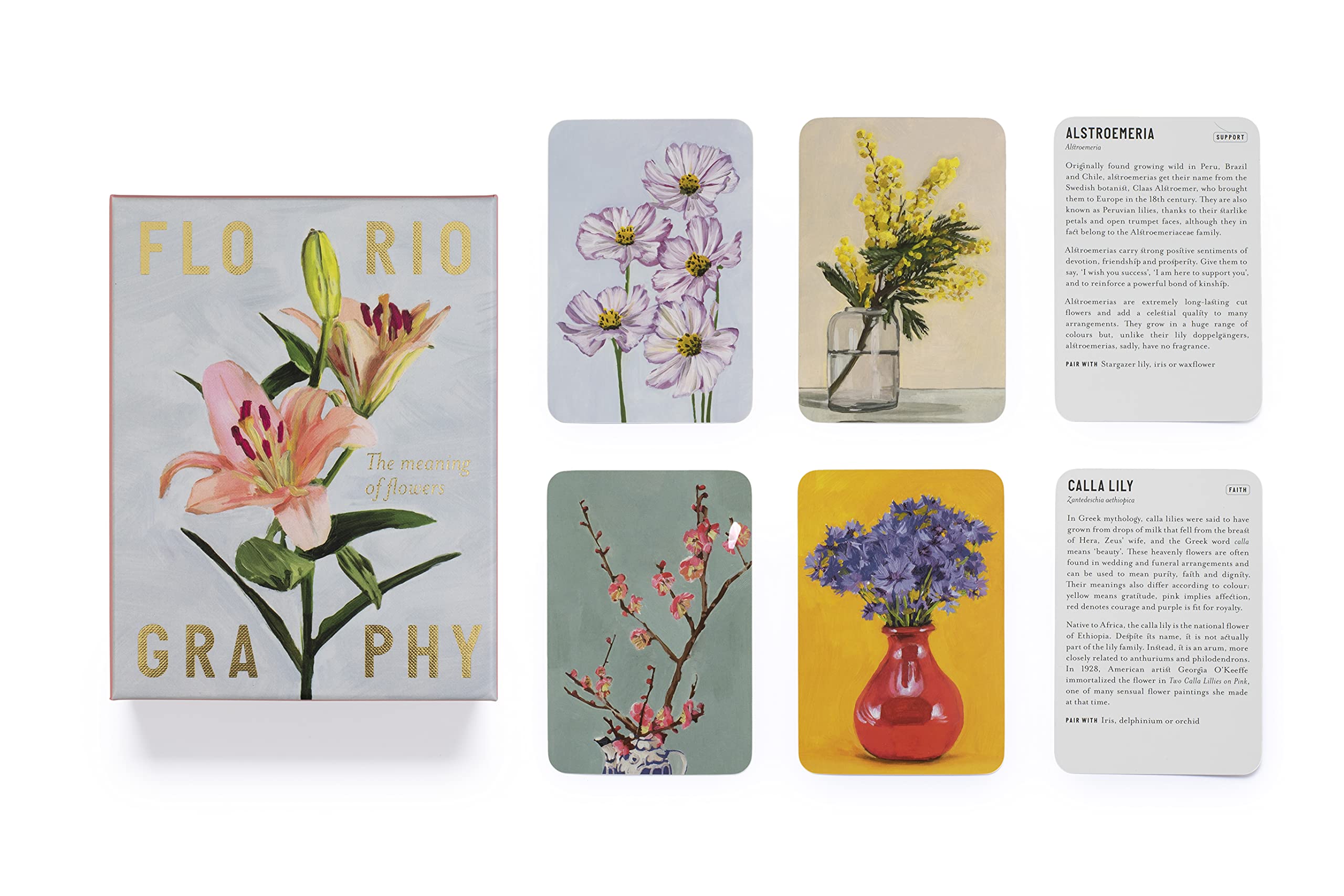 Floriography (cards) | Rowan Blossom - 4 | YEO