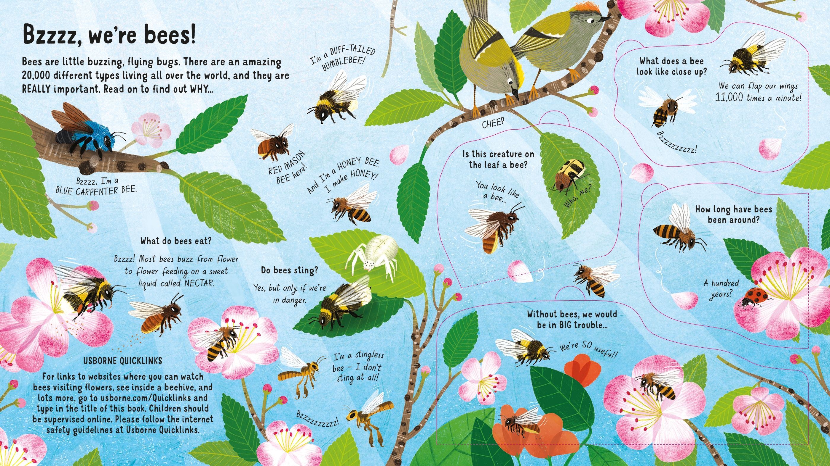 Look Inside the World of Bees | Emily Bone - 2 | YEO