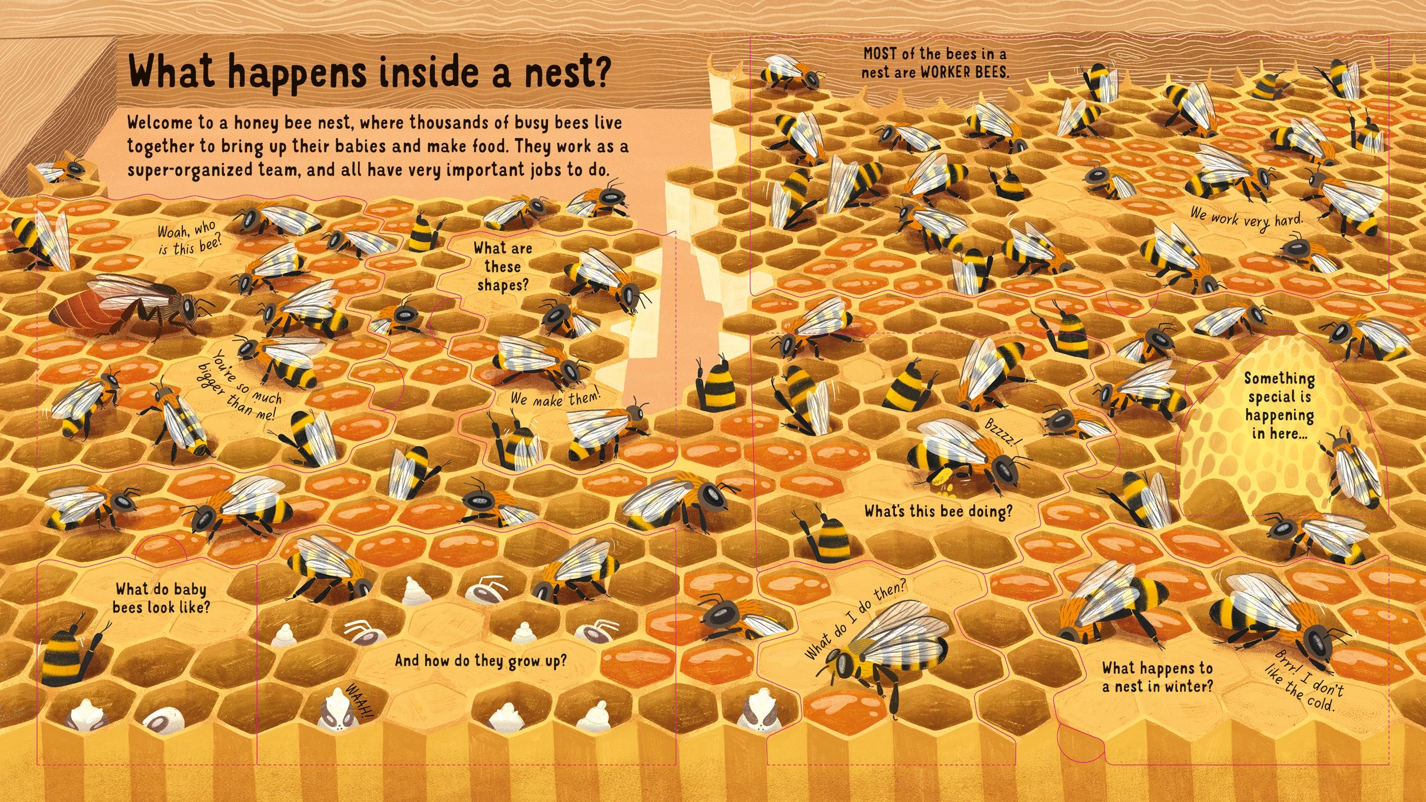 Look Inside the World of Bees | Emily Bone