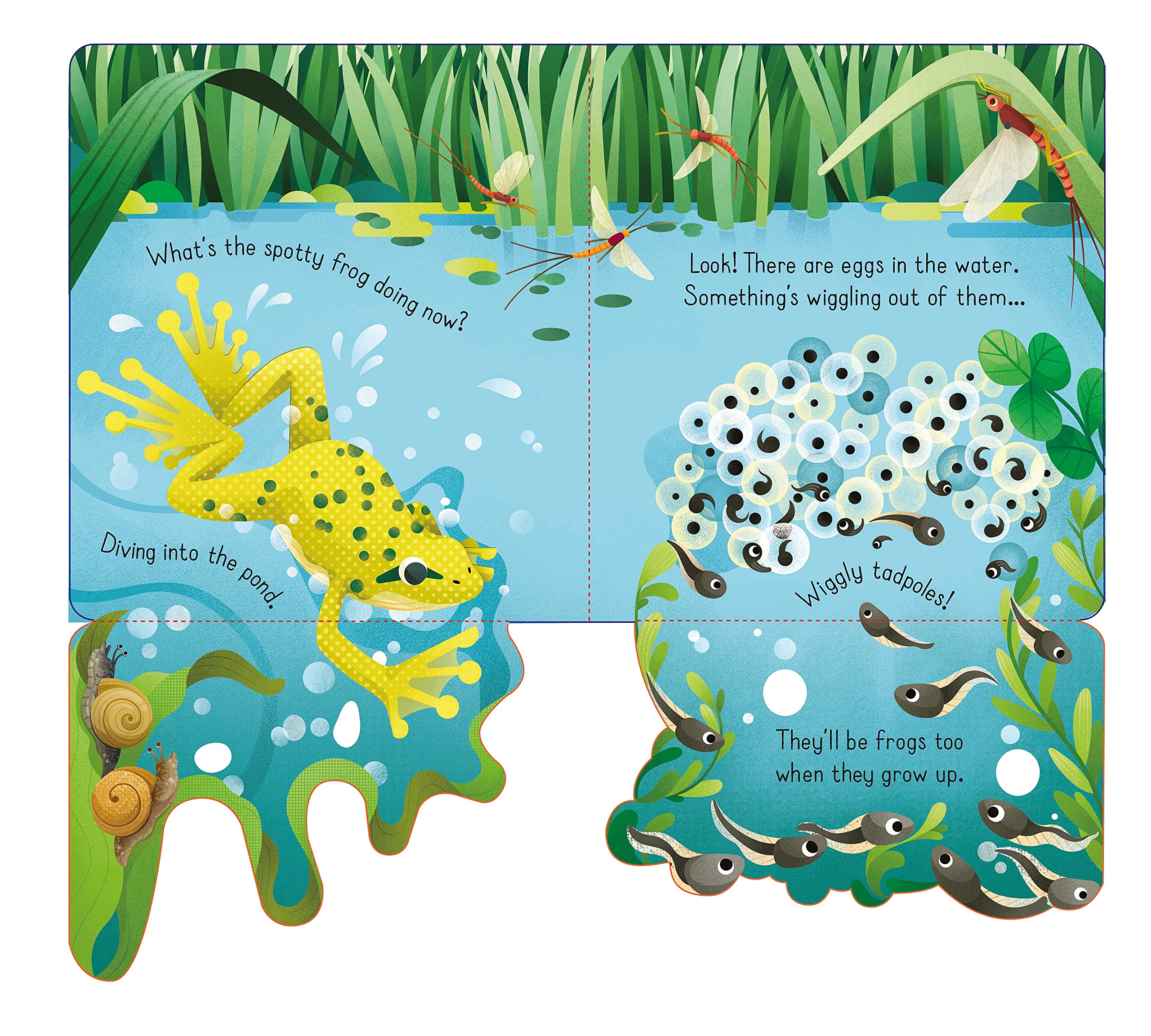 Spotty Frog | Anna Milbourne - 1 | YEO