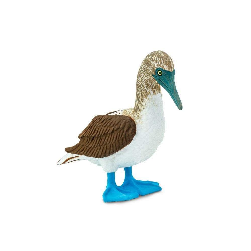 Figurina - Blue Footed Booby | Safari