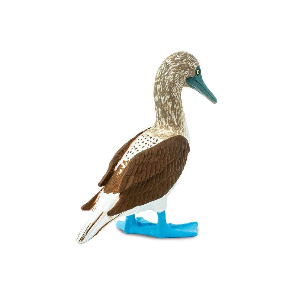 Figurina - Blue Footed Booby | Safari - 1 | YEO