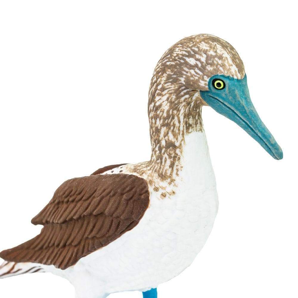 Figurina - Blue Footed Booby | Safari - 2 | YEO