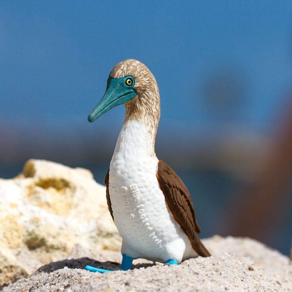 Figurina - Blue Footed Booby | Safari - 3 | YEO