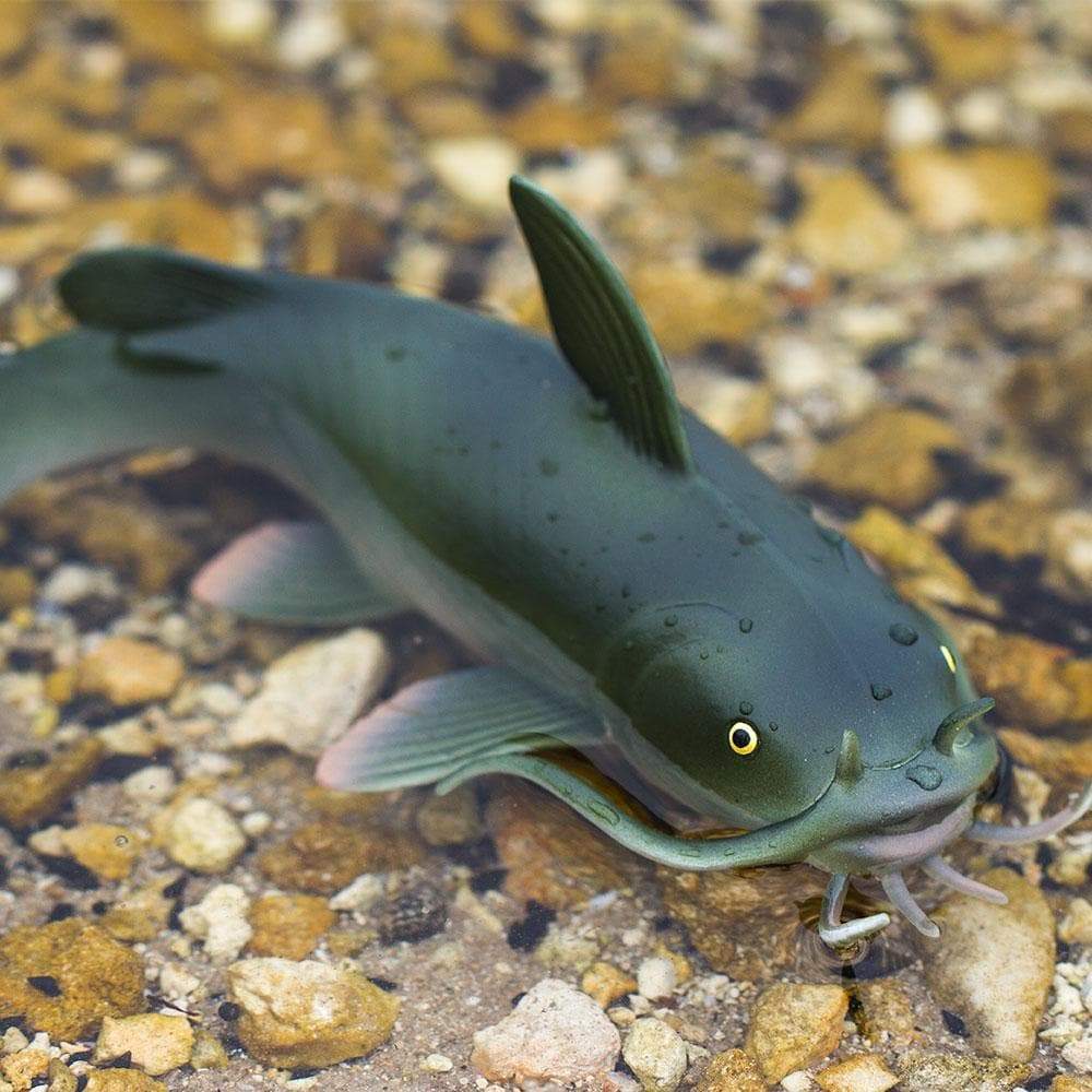 Figurina - Catfish Incredible Creatures | Safari - 6 | YEO