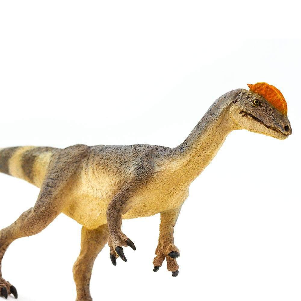 Figurina - Dilophosaurus | Safari - 3 | YEO