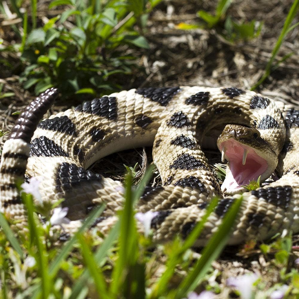 Figurina - Eastern Diamondback Rattlesnake | Safari - 3 | YEO