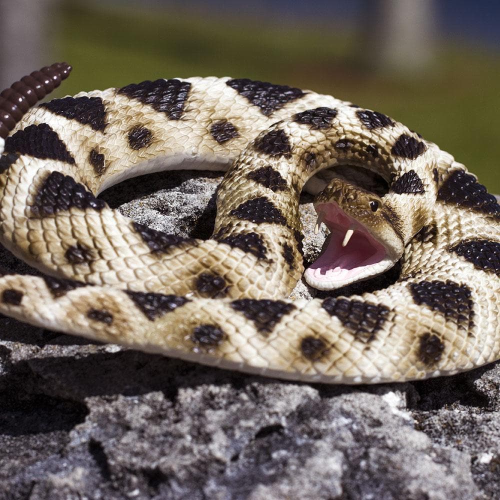 Figurina - Eastern Diamondback Rattlesnake | Safari - 4 | YEO