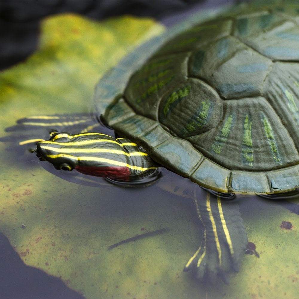 Figurina - Red-Eared Slider Turtle | Safari - 8 | YEO