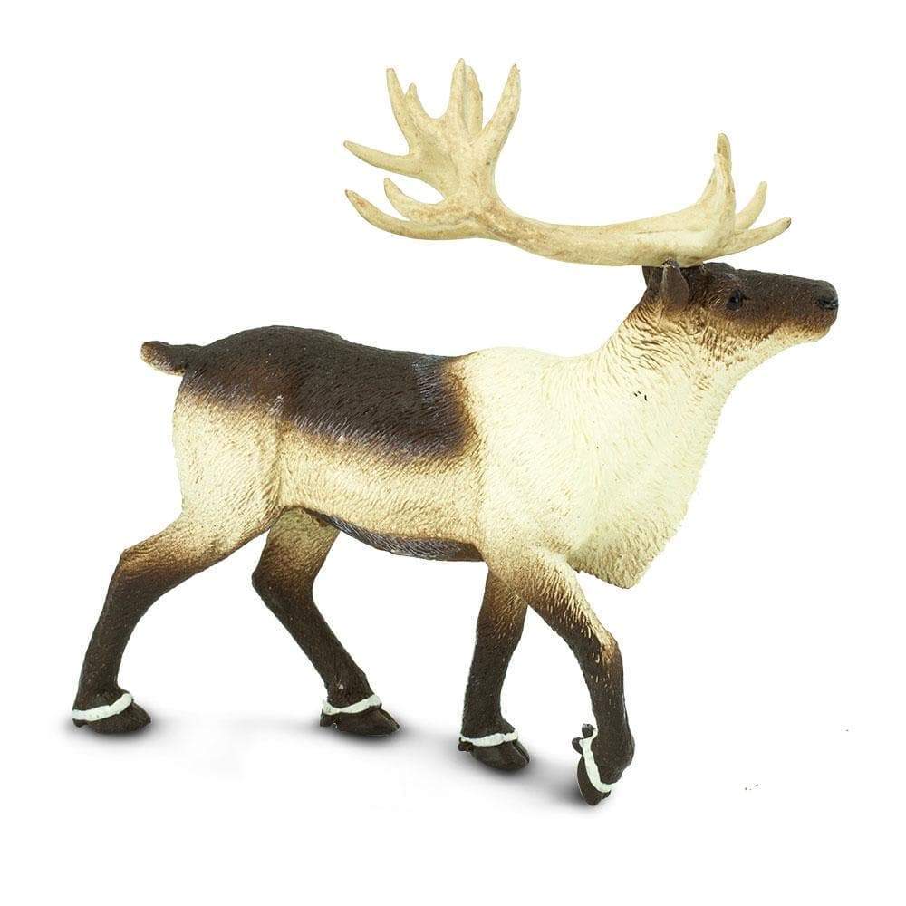 Figurina - North American Reindeer | Safari