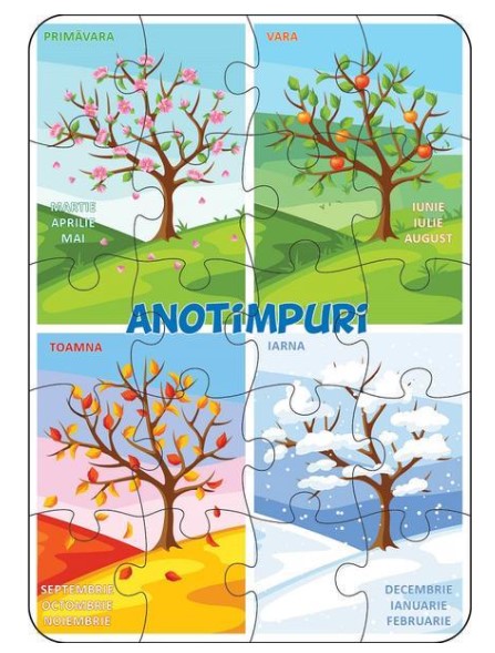 Puzzle - Anotimpuri | Didactica Publishing House - 1