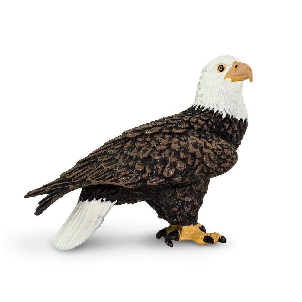 Figurina - Wildlife Animal - Bald Eagle | Safari - 6 | YEO