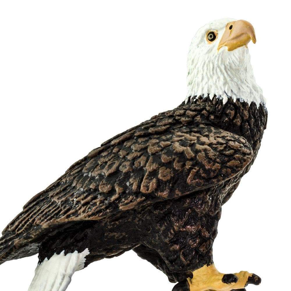 Figurina - Wildlife Animal - Bald Eagle | Safari - 2 | YEO