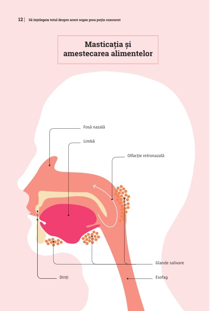 Mic ghid de sanatate: Ficatul | Audrey Carsalade - 7 | YEO