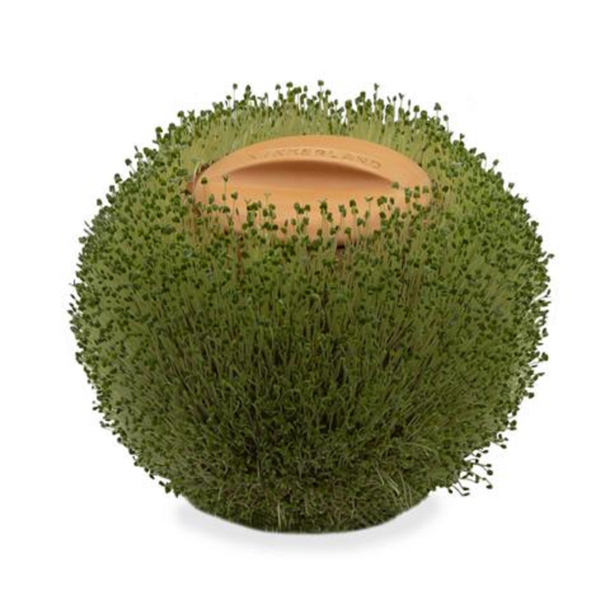 Ghiveci din ceramica - Green Orb | Kikkerland - 1 | YEO