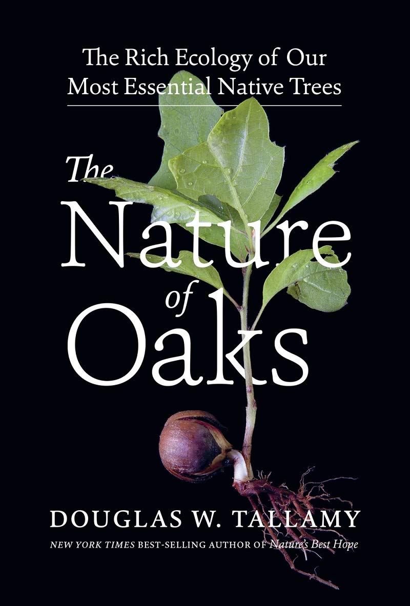 The Nature of Oaks | Douglas W Tallamy