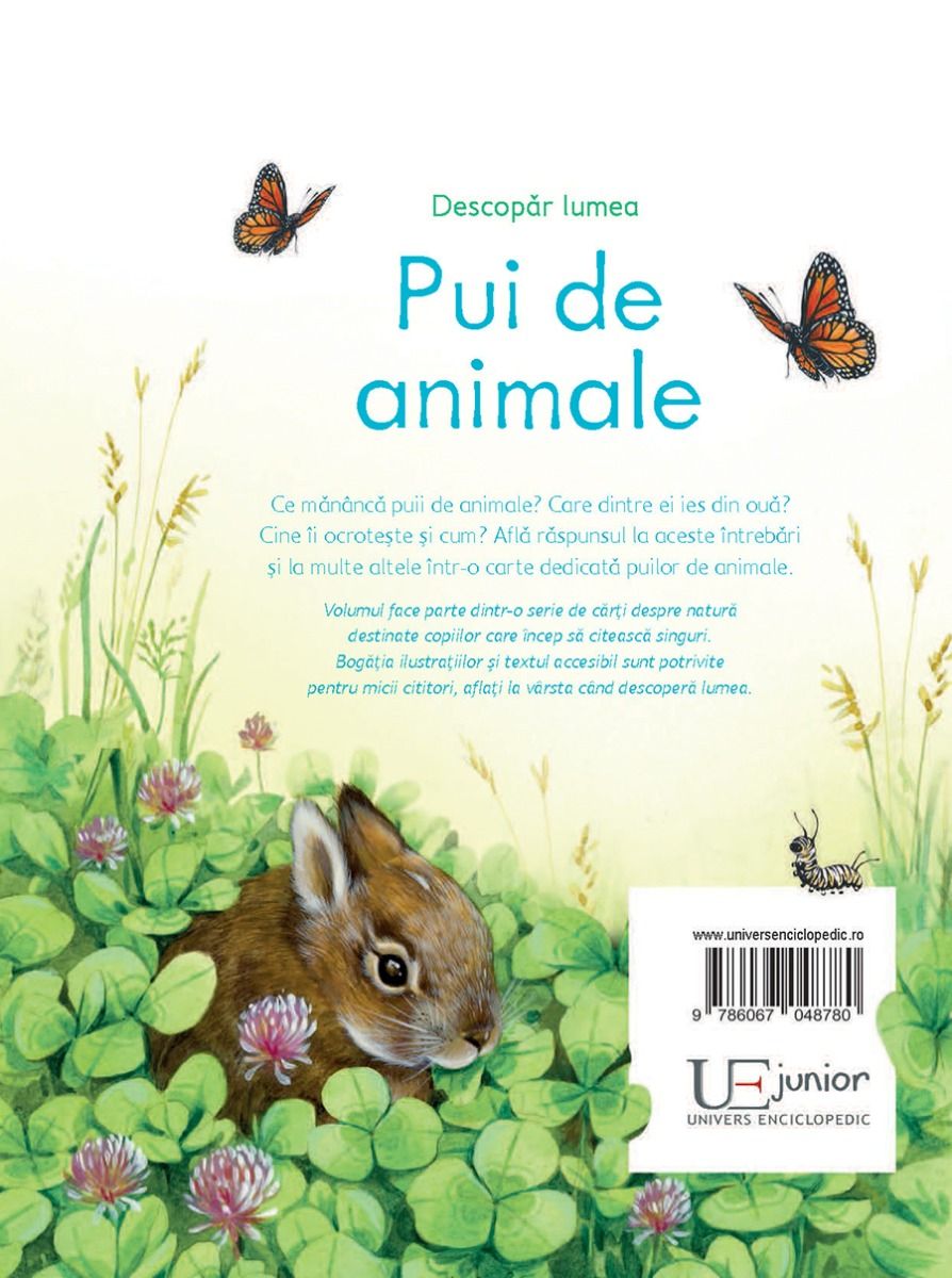 Pui de animale | - 4 | YEO