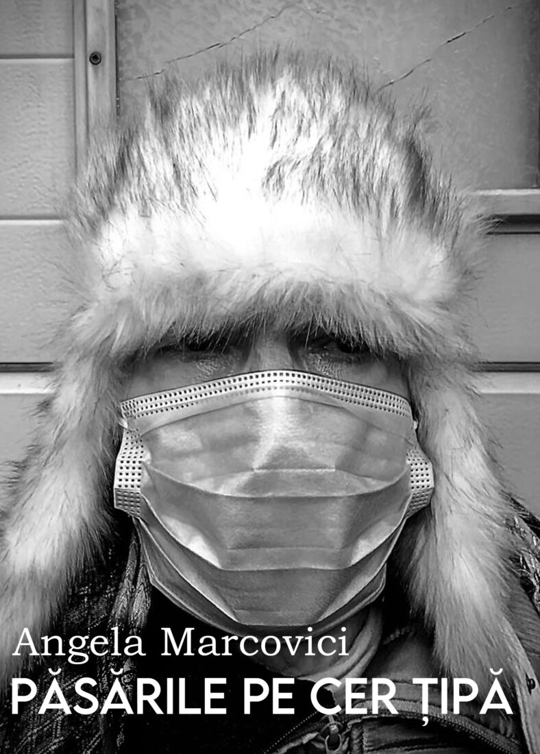 Pasarile pe cer tipa | Angela Marcovici (Angela Marinescu) carturesti.ro Carte