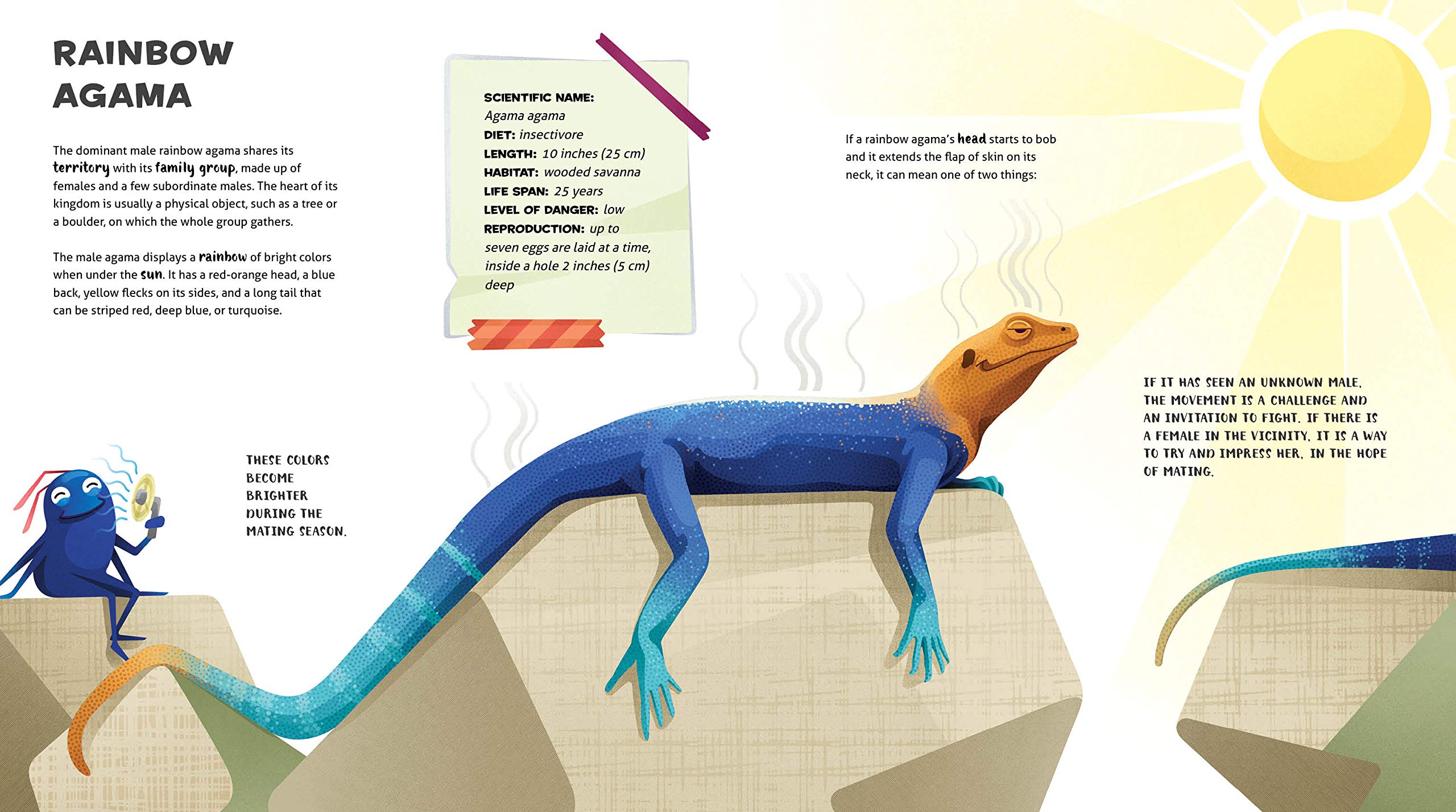 The Amazing Catalogue of Weirdest Reptiles | Cristina Banfi , Rosella Trionfetti - 4 | YEO