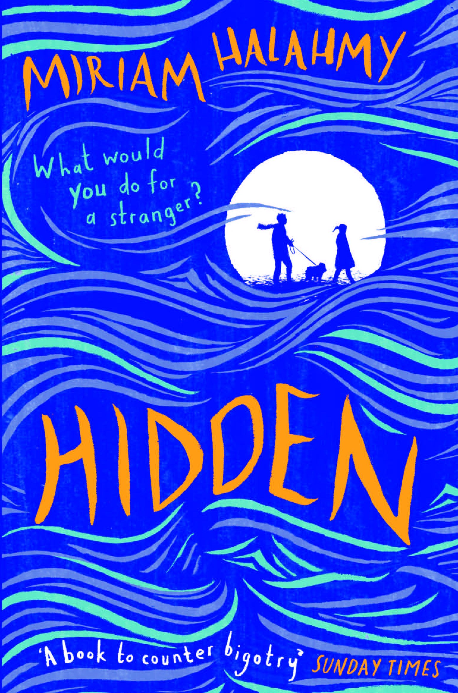 Hidden | Miriam Halahmy