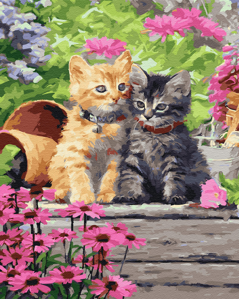 Set pictura pe numere - Kitties, 40x50 cm | Acuarello