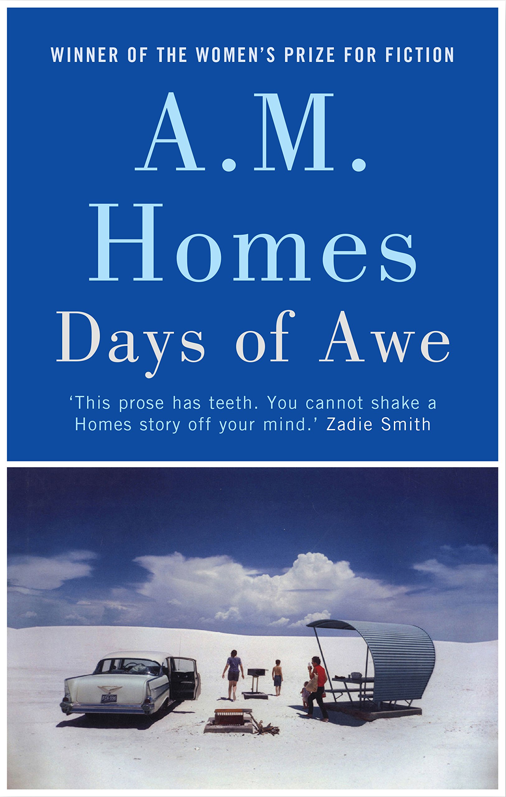 Days of Awe | A.M. Homes