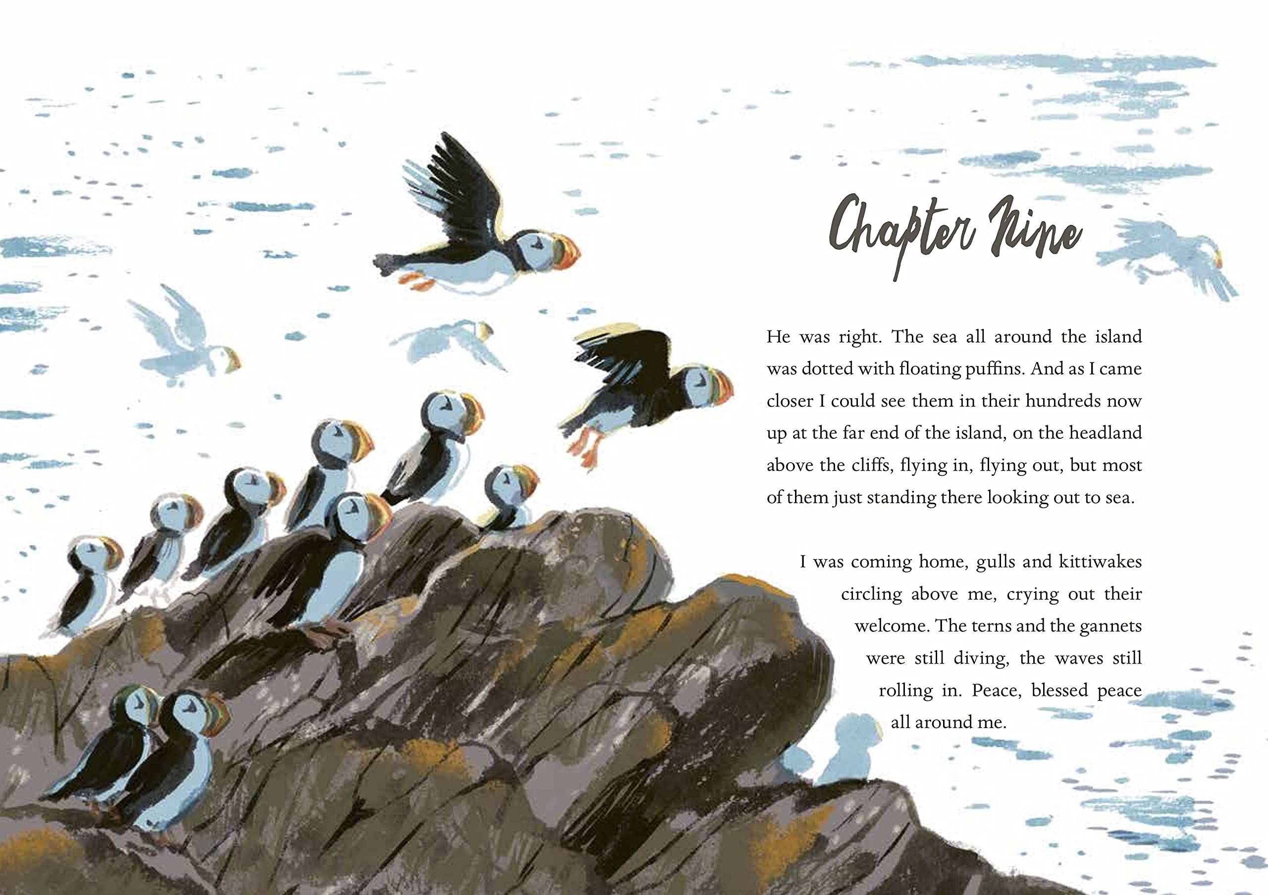 The Puffin Keeper | Michael Morpurgo - 2 | YEO