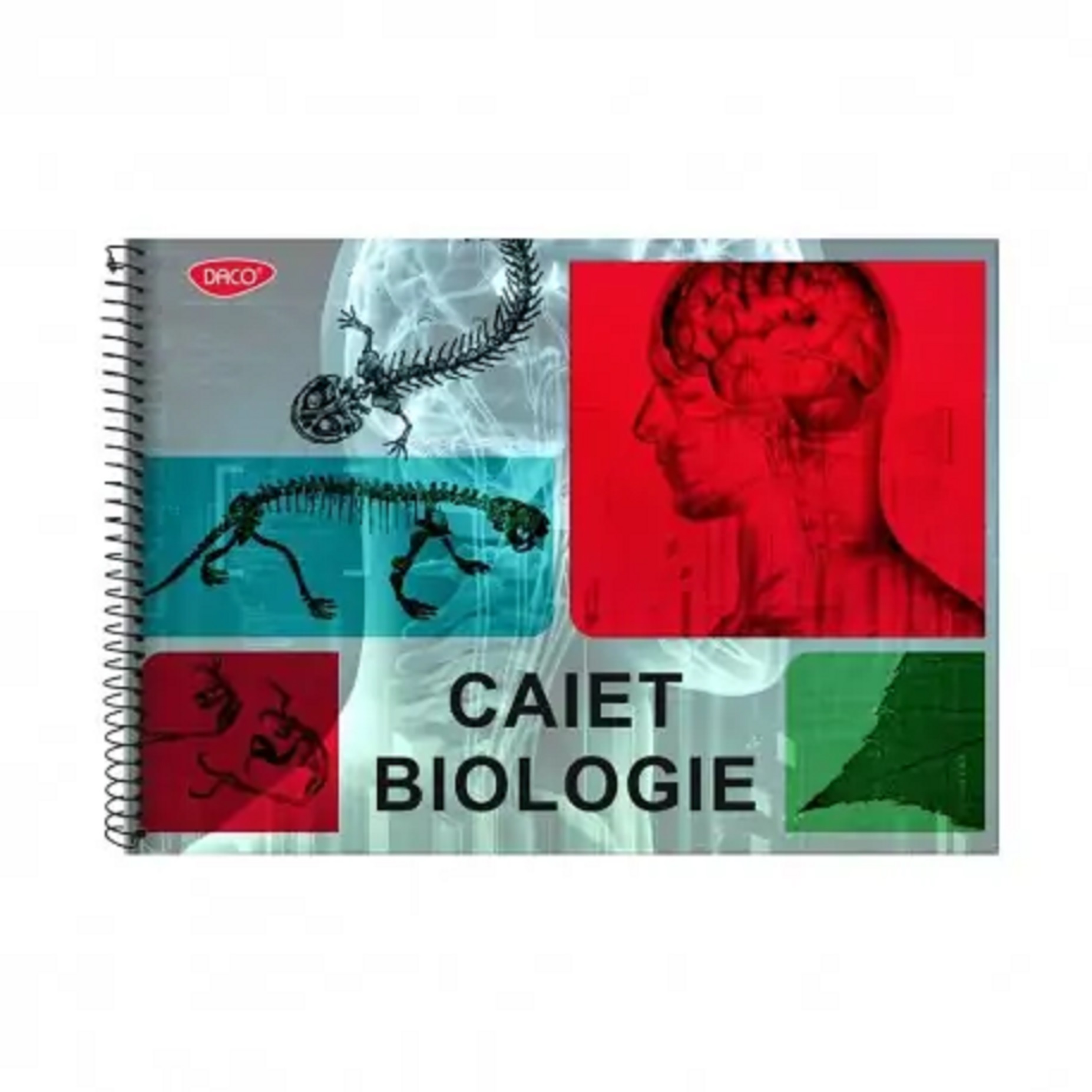 Caiet biologie - Spira, 24 file | Daco