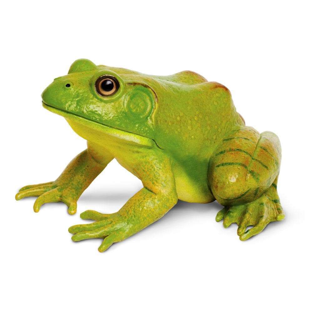 Figurina - American Bullfrog | Safari - 6 | YEO