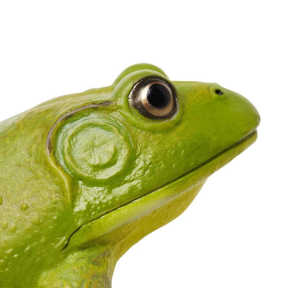 Figurina - American Bullfrog | Safari image3
