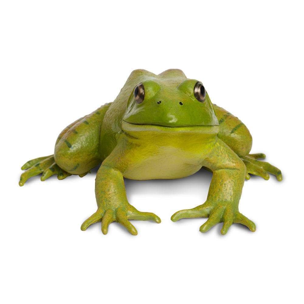 Figurina - American Bullfrog | Safari image4