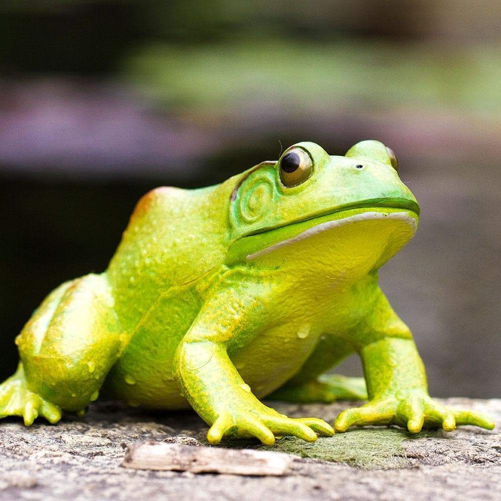 Figurina - American Bullfrog | Safari image2