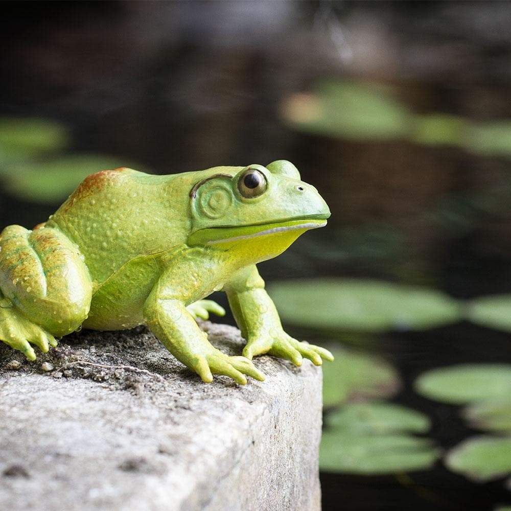 Figurina - American Bullfrog | Safari image1