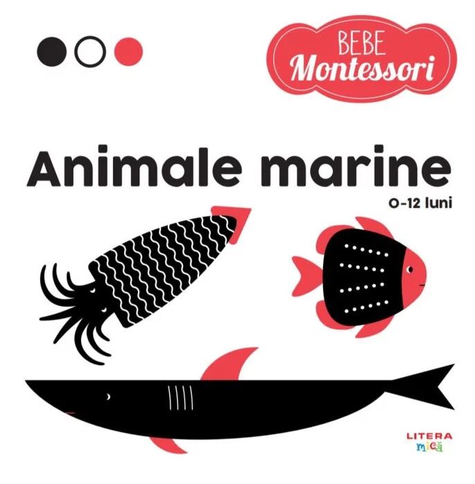Bebe Montessori – Animale marine | adolescenti 2022