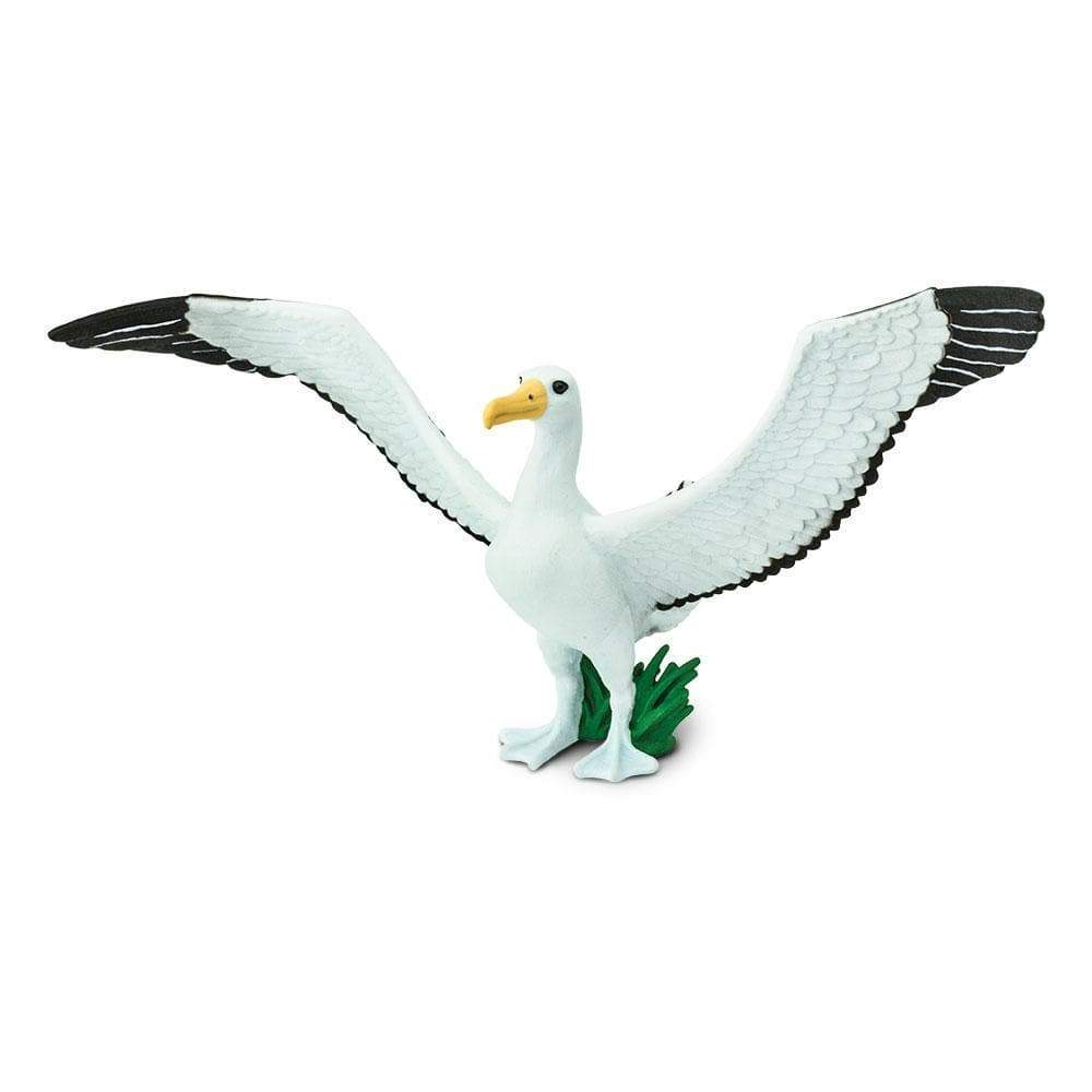 Figurina - Wayfarer Albatross | Safari - 7 | YEO