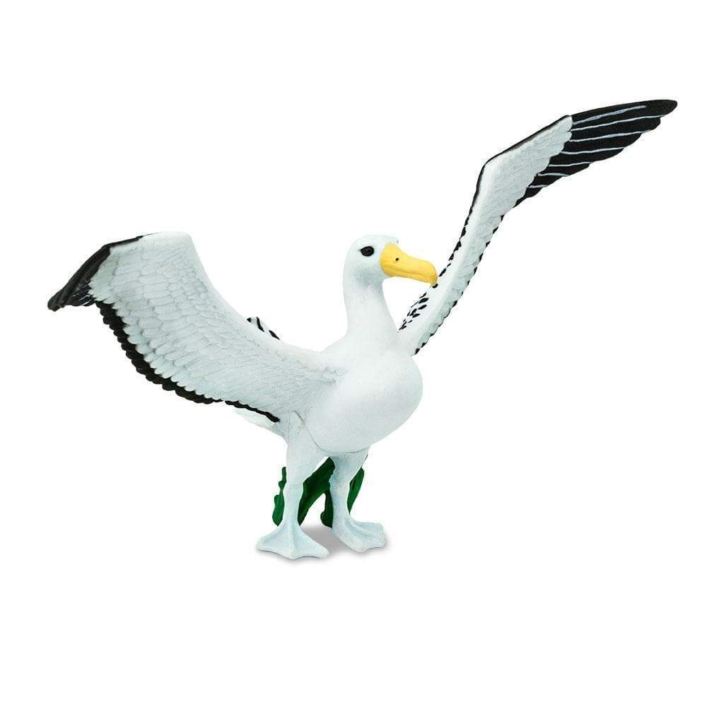 Figurina - Wayfarer Albatross | Safari