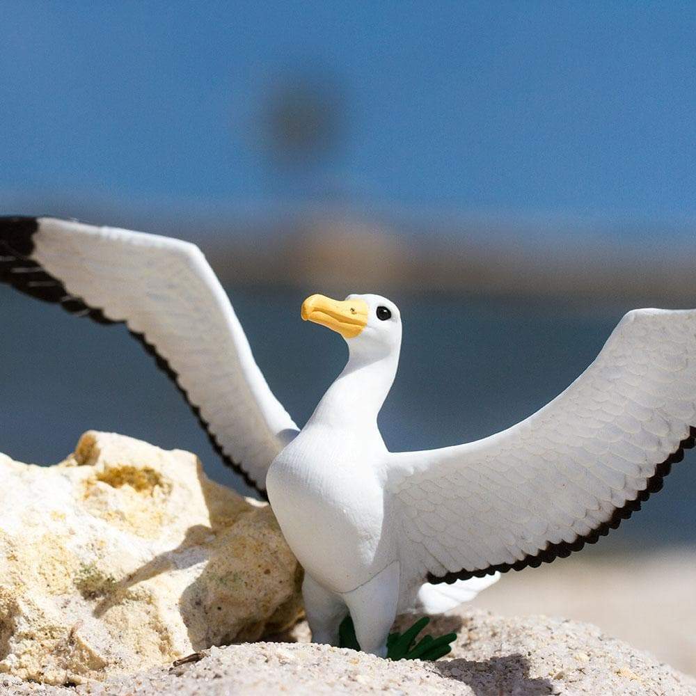 Figurina - Wayfarer Albatross | Safari - 4 | YEO