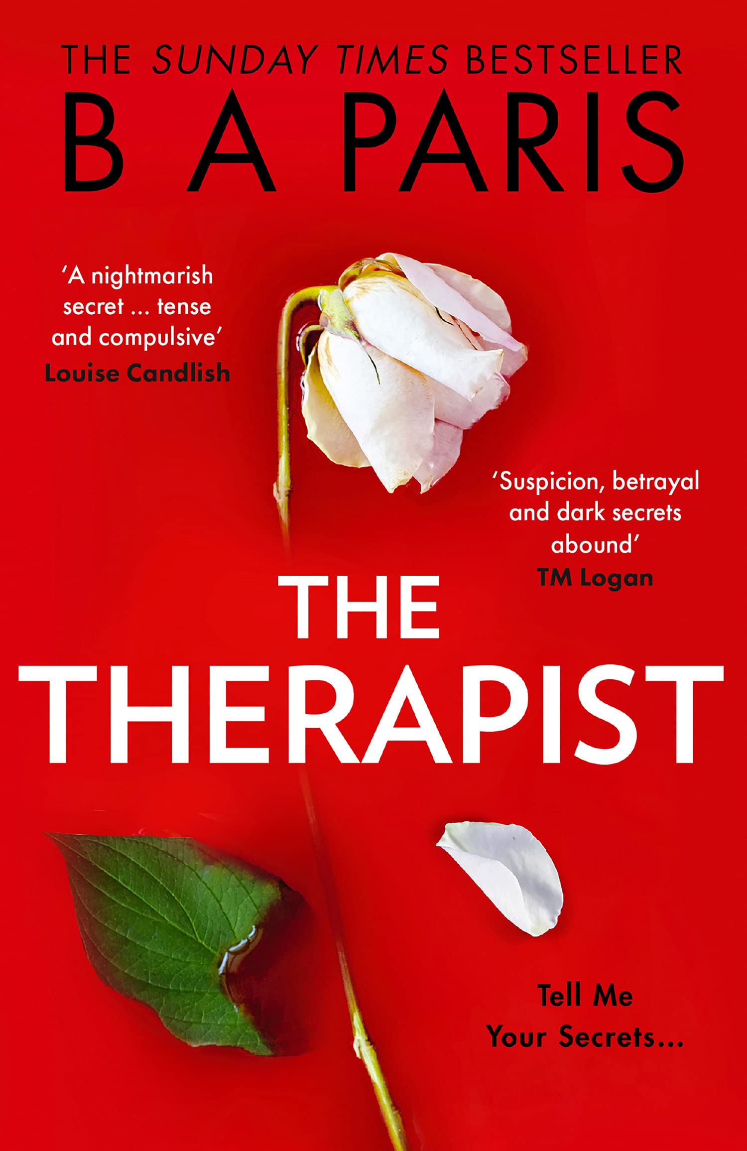 The Therapist | B A Paris