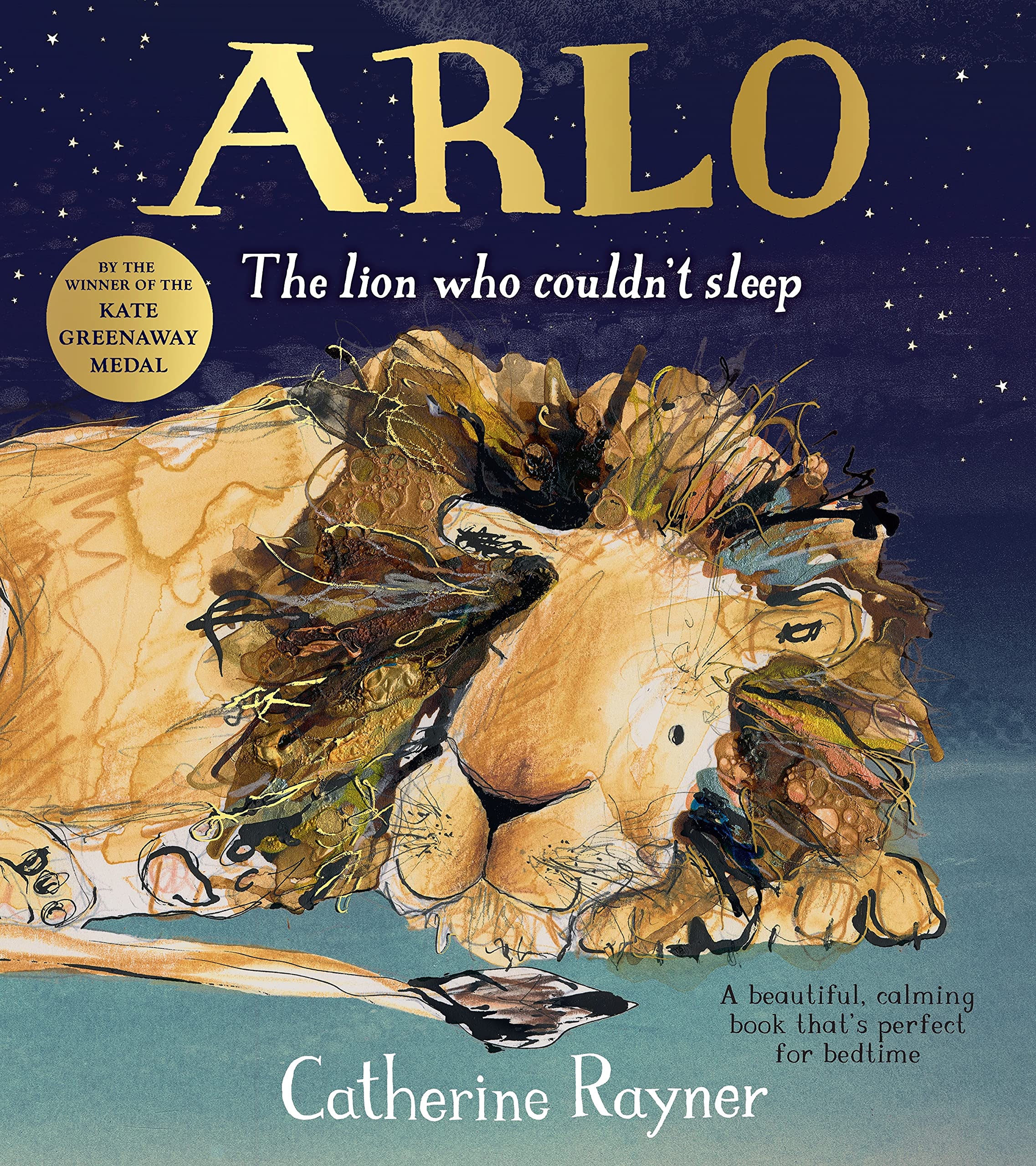 Arlo The Lion Who Couldn\'t Sleep | Catherine Rayner